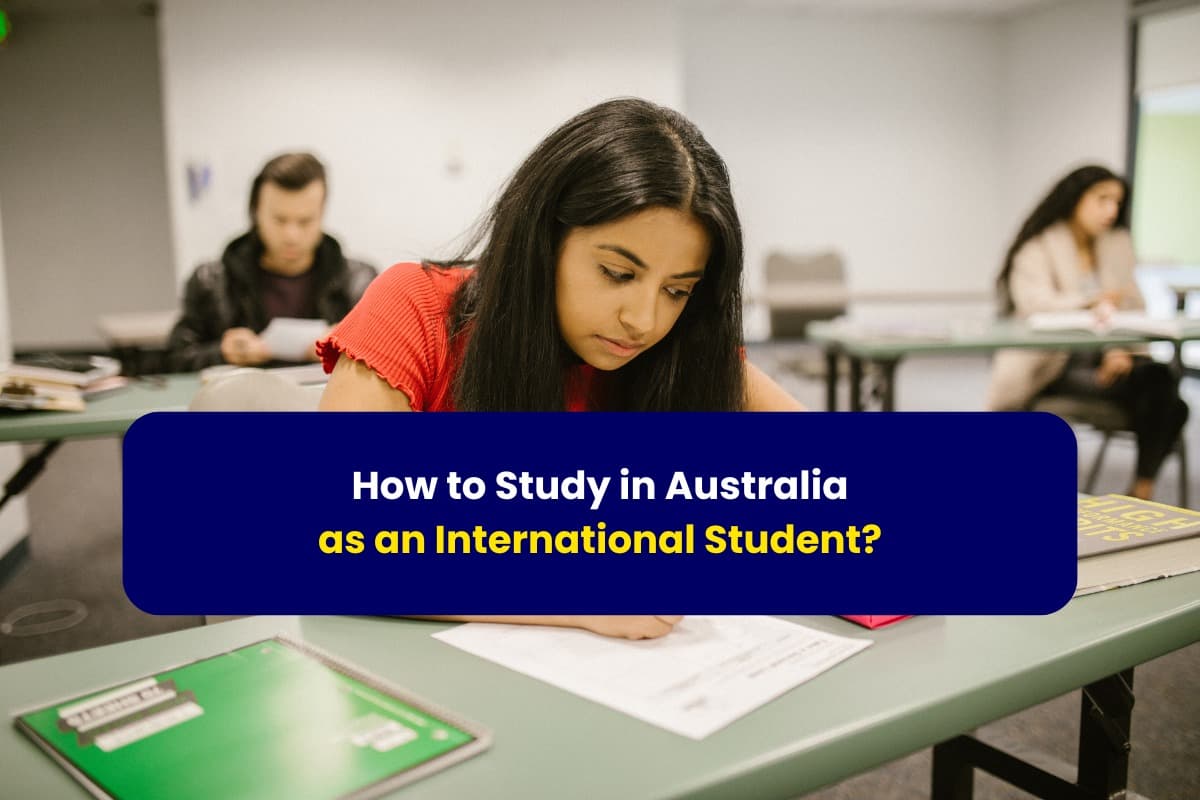 How to Study in Austrlia as an international Students?-with Gradstar